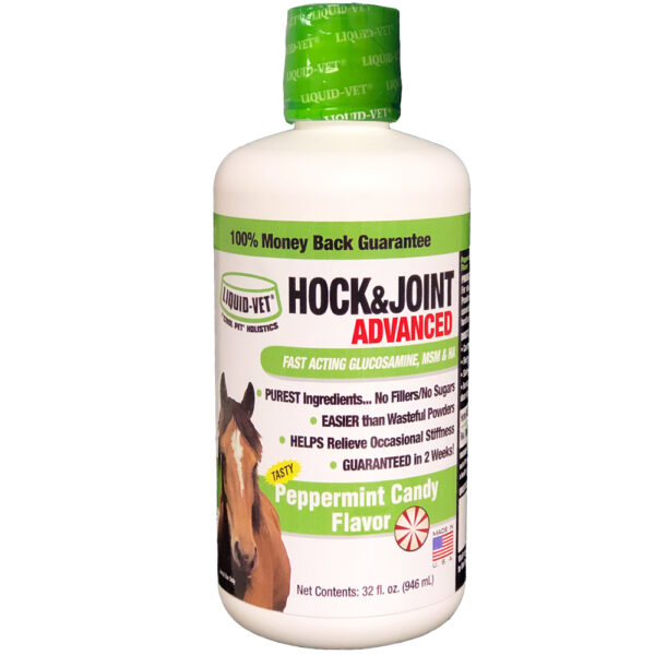 Equine Hock & Joint Advanced Formula